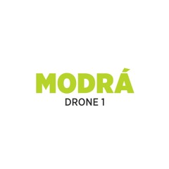 Drone 01