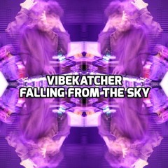 VibeKatcher - Falling from the Sky
