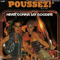 Poussez! - "Never Can Say Goodbye" (Raul A. Rodriguez Disconet Mix)