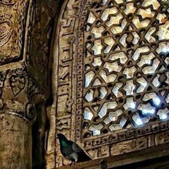 منوعات قرآن