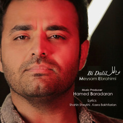 Meysam Ebrahimi - Bi Dalil (MTVPersian.Net)
