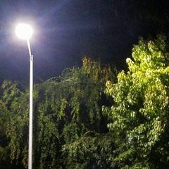 Timeless (prod. by IGNORANCE)