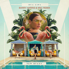 "New Rules" Dua Lipa (Barry Harris & MSC Remix)