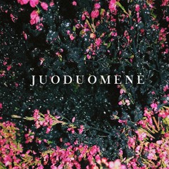 Donatas Chipak x Tumosa: Juoduomenė