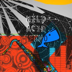 0002 34 - Audio / Session Improvisation Live / Saxophone + Analogue + Live
