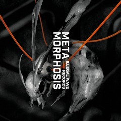 Roy Mikelate - What About You 【from METAMORPHOSIS】