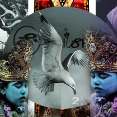 ॐ Feeding Birds | Episode № 2