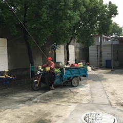 Shanghai est une vendeuse de volailles en tricycle