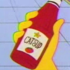 - K E T C H U P - C A T S U P -