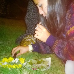 Las Verdaderas Curanderas (cover Kike Pinto)