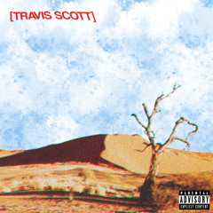 Travi$