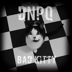 Bad Kitty