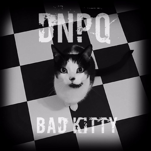 Bad Kitty