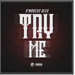 Try Me(prod. By Ant Beats)