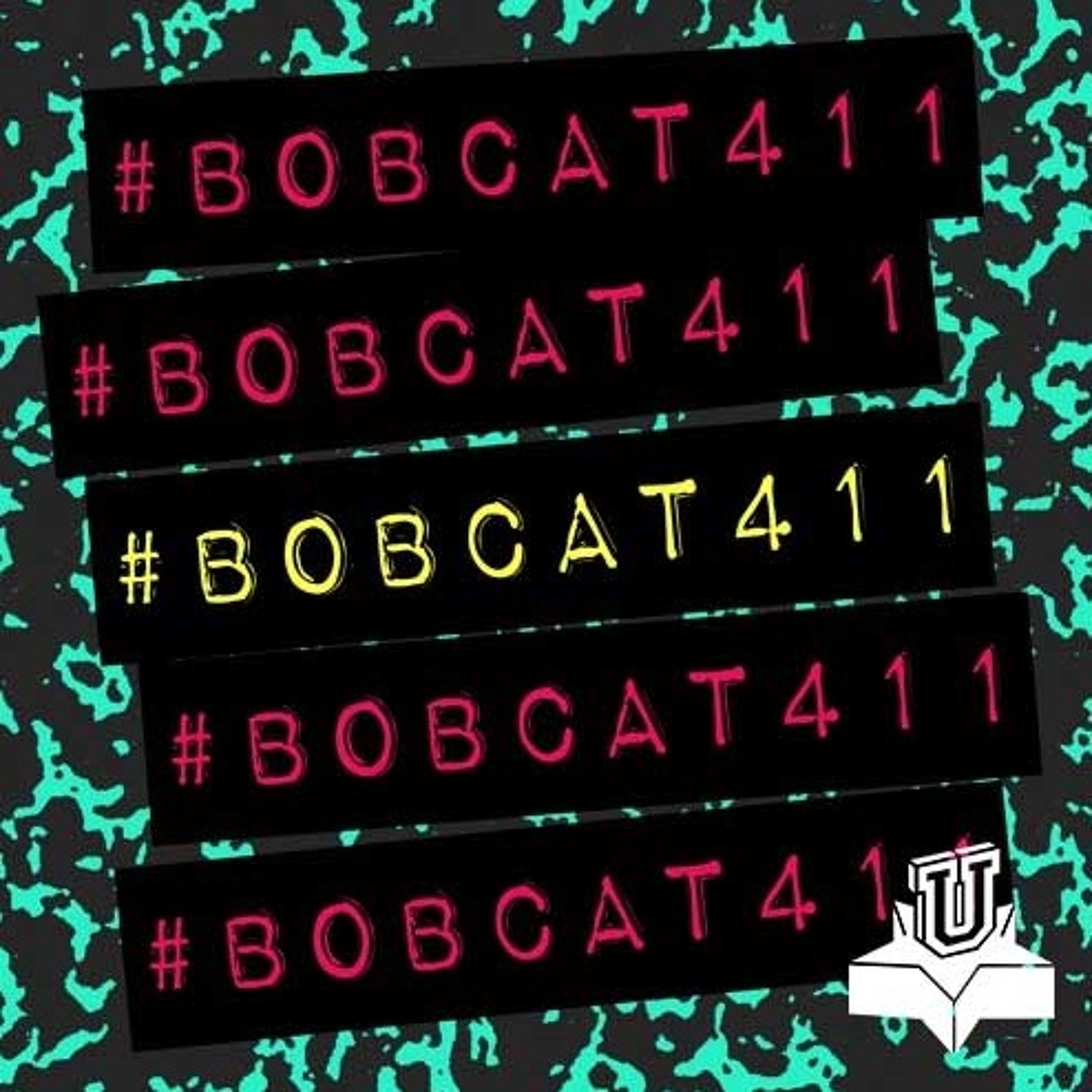 #Bobcat411: Fun Fun Fun Preview
