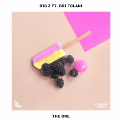 Big Z - The One (feat. Bri Tolani)