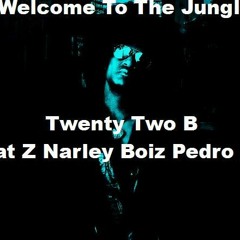 Welcome To The Jungle - Twenty Two B Feat Z Narley Boiz Pedro Iuli