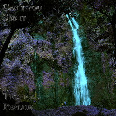 Can't you see it (Feat Fiona Db & Alban J)