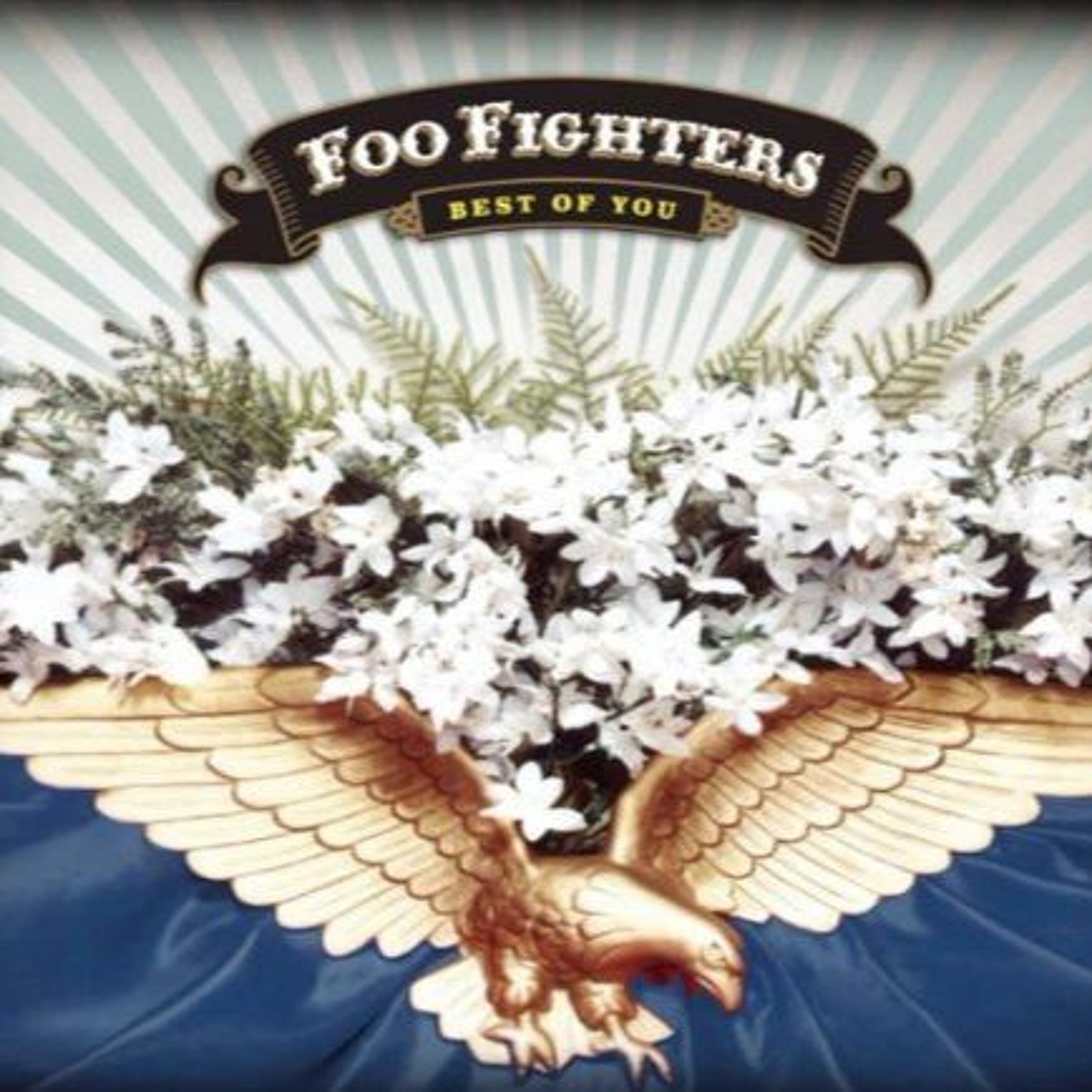 F00 F.ighters Vs William Bhall, Well Sanchez, Gregorgus Geez, R. G. - Best Of You (Fabio Dias Mash) episode artwork
