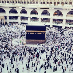 مقطع النمل
