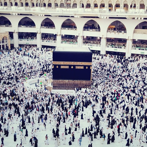 مقطع النمل