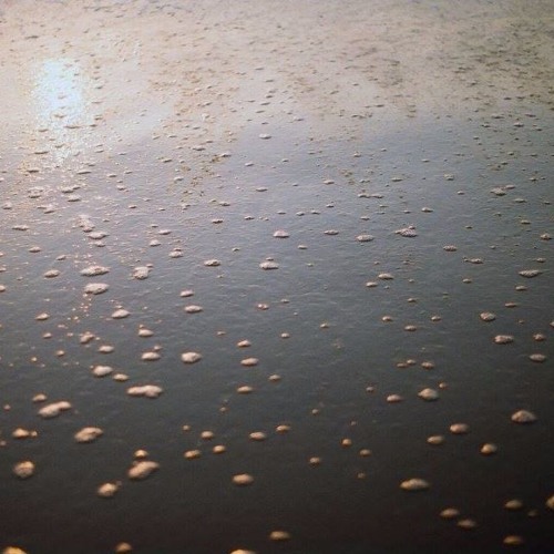 Chapter 16, 17, 18, 19, 20