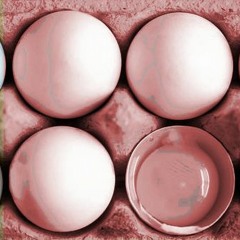 xylocast 003 - 4Eggz