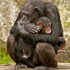 SEMTİ KOLAÇAN EDERKEN DİNLENECEK MÜZİKLER