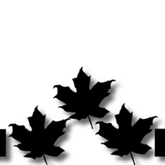 S3PTEMBER PRODUCTION - KATZENFLÜSTERER (Free Download)