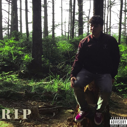 RIP Freestyle (Kodak Black- Roll In Peace Remix)
