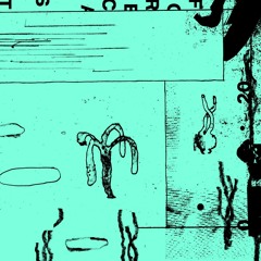 Forecast 020: Dream Cycles