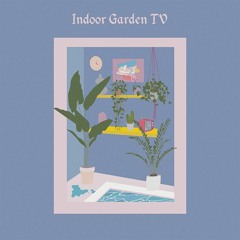 Indoor Garden TV