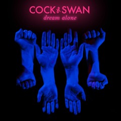 Cock & Swan - Flock Descending