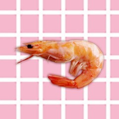 shrimps are pretty rich