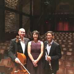 Trio, op. 114, Allegro