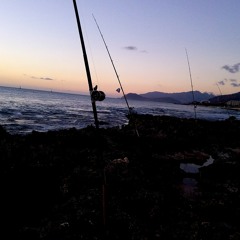 #skiiip2song✨ She wanna party✨