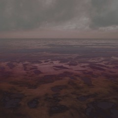 The Hare And The Moon Ft Alaska - Black Shores