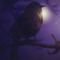 The Lark - Mikhail Glinka (Solo Piano)