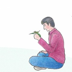 Kho bau Da 돌 보화 (Rock Treasure)