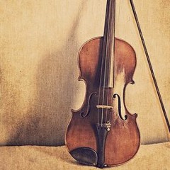 Violin