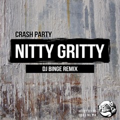 Crash Party - Nitty Gritty (DJ BiNGe Remix)