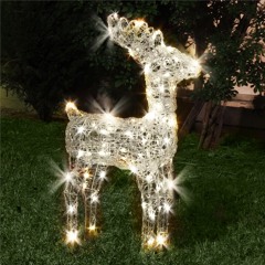 The Deer With The Golden Lights