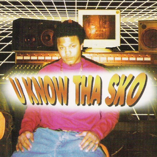 Stream PLZ Make It Ruins Listen to Lil Sko U Know Tha Sko