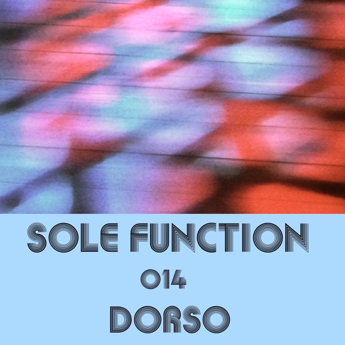 Sole Function 014