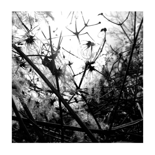Premiere: Joachim Spieth - Lambda [AFFIN]