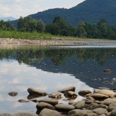 Čula jesam da se dragi ženi