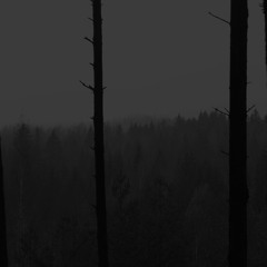 I Won't Blame You - Pilot Speed (Covered By Aaron Googoo)