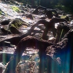 Ambient Rhytms (vinyl set)