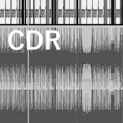 THM - Am I Dead Yet ? (CDR Wtf Am I Doing Mix)