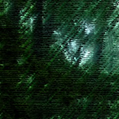 Neonamic @ Waldbeatnurfueruns 25.08.2017